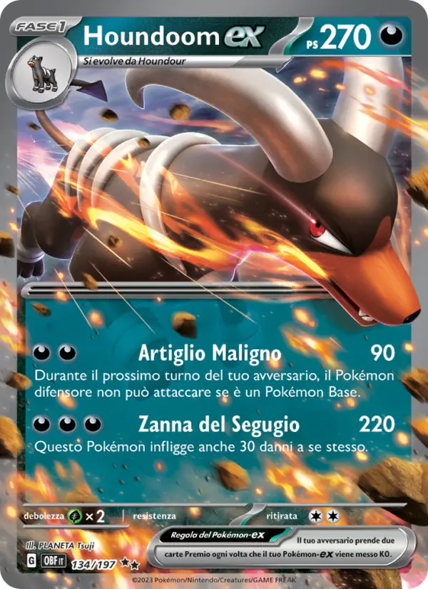 Houndoom ex #134