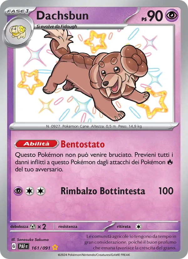 Dachsbun #161