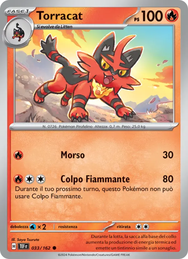 Torracat #033
