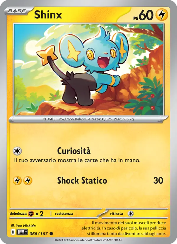 Shinx #066