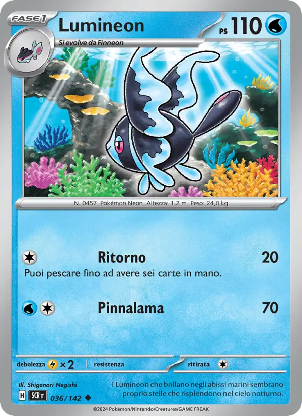 Lumineon #036