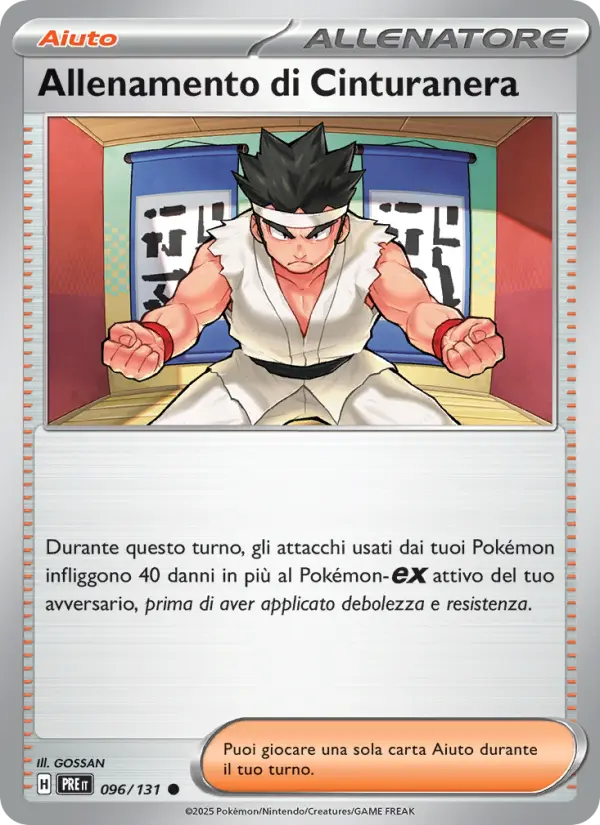 Allenamento di Cinturanera #096