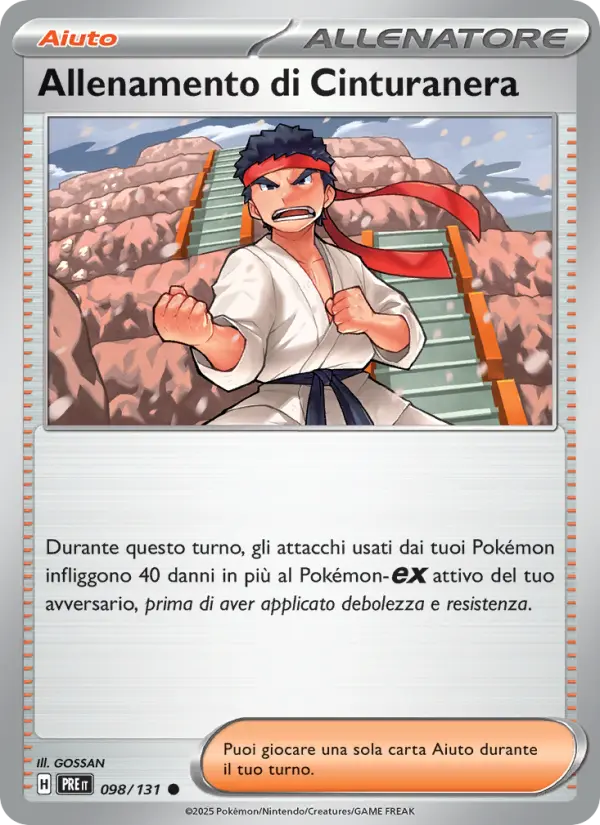 Allenamento di Cinturanera #098