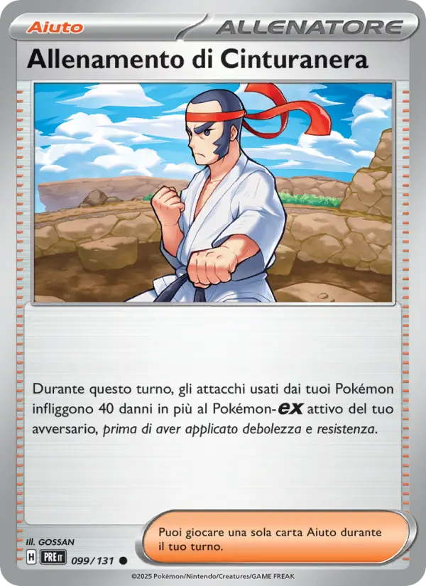 Allenamento di Cinturanera #099