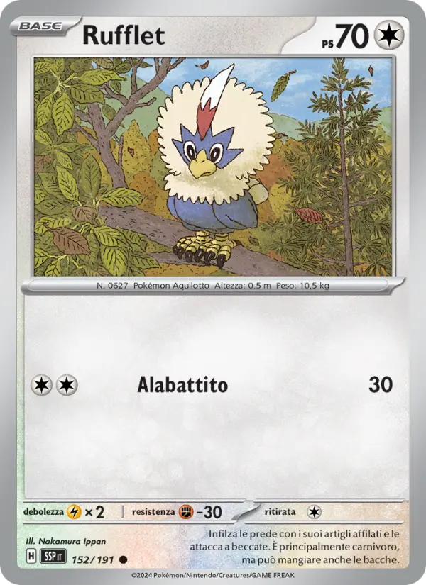 Rufflet #152