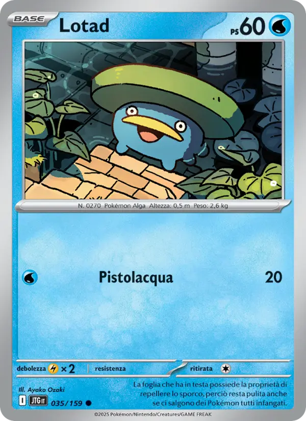 Lotad #035 — Avventure Insieme