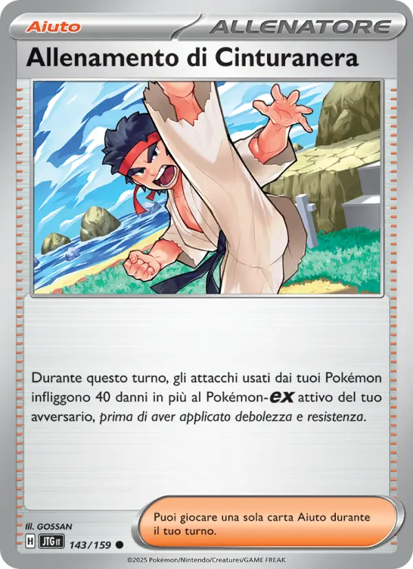 Allenamento di Cinturanera #143