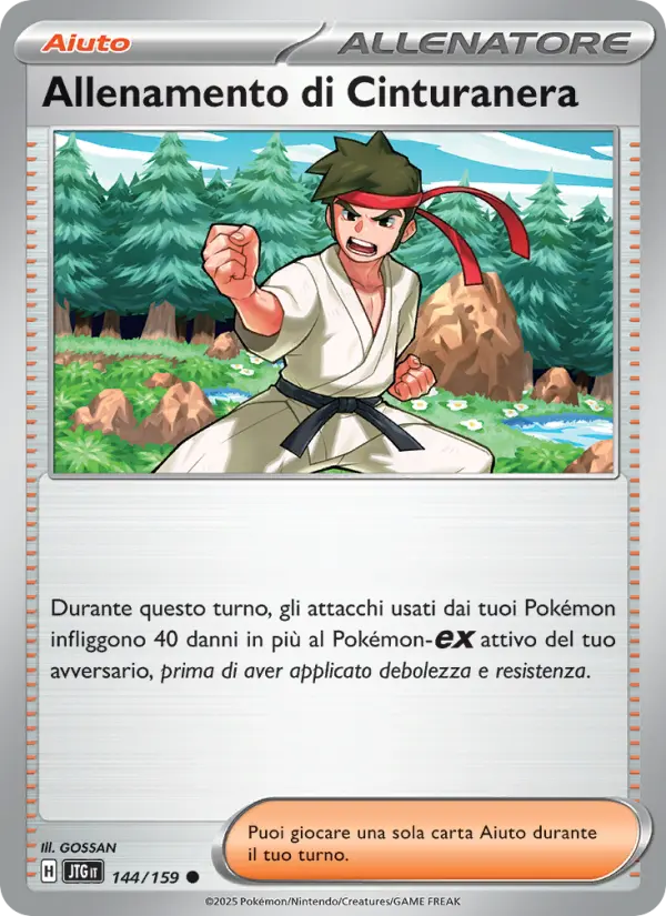 Allenamento di Cinturanera #144
