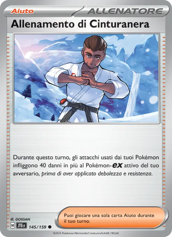 Allenamento di Cinturanera #145