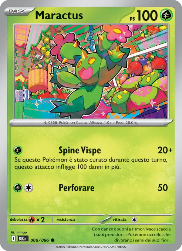 Maractus #008
