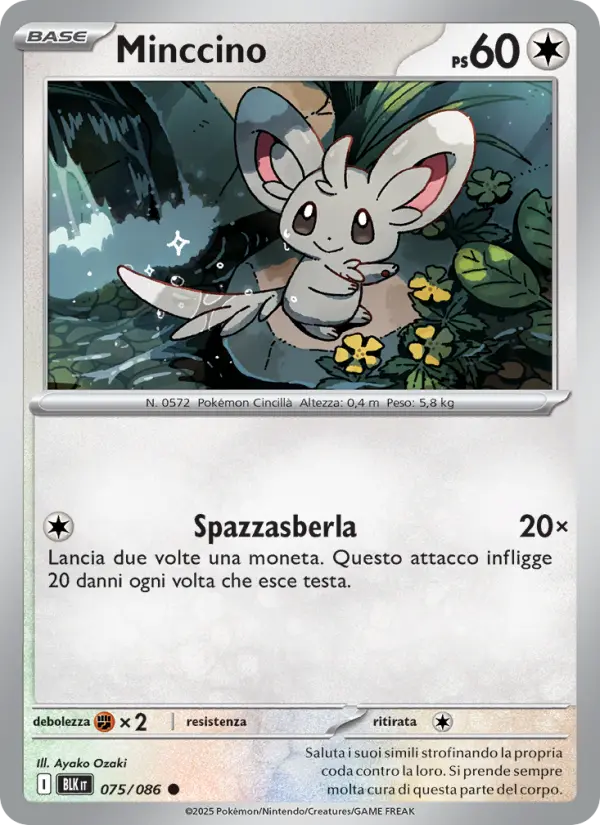 Minccino #075