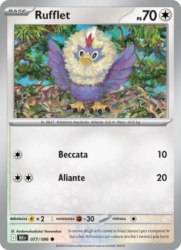 Rufflet #077