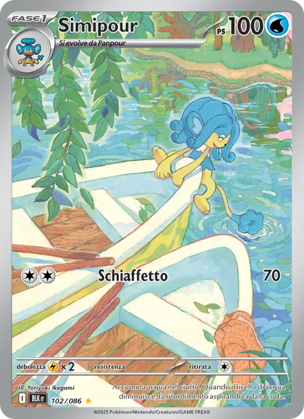 Simipour #102