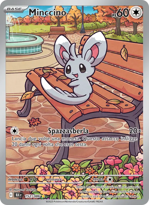 Minccino #152