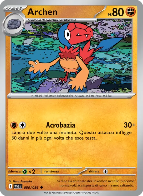 Archen #050