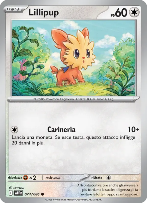 Lillipup #074