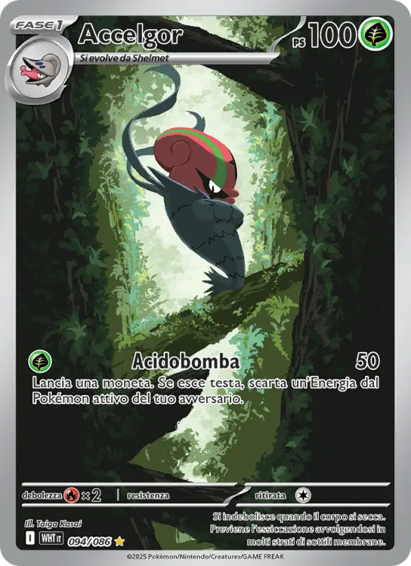 Accelgor #094