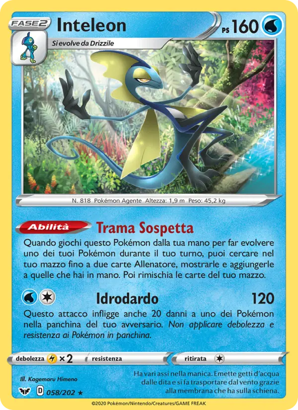 Drednaw #58