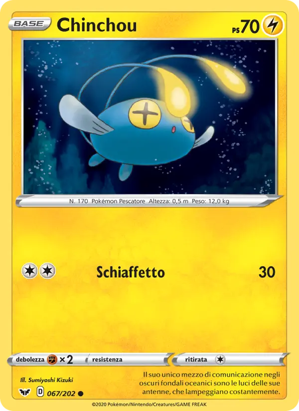 Chinchou #67