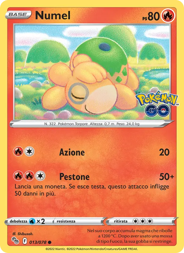 Numel #013