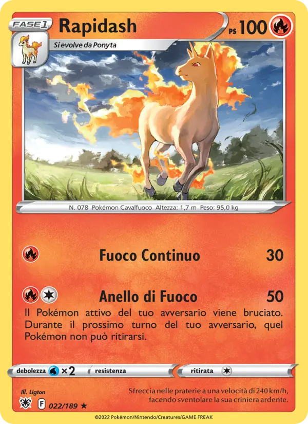 Rapidash #022