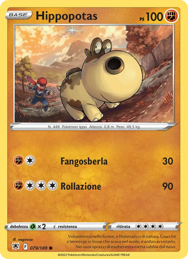 Hippopotas #079