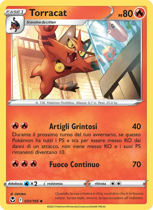 Torracat #031
