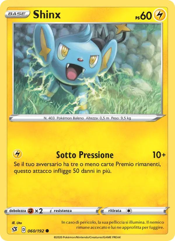 Shinx #60