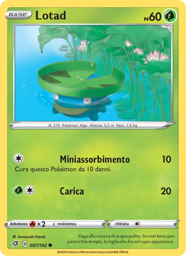 Lotad #7