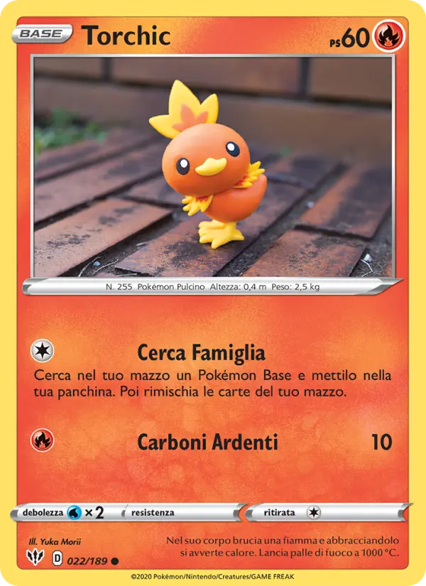 Torchic #22