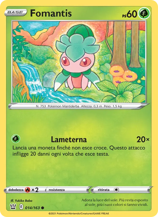 Fomantis #14