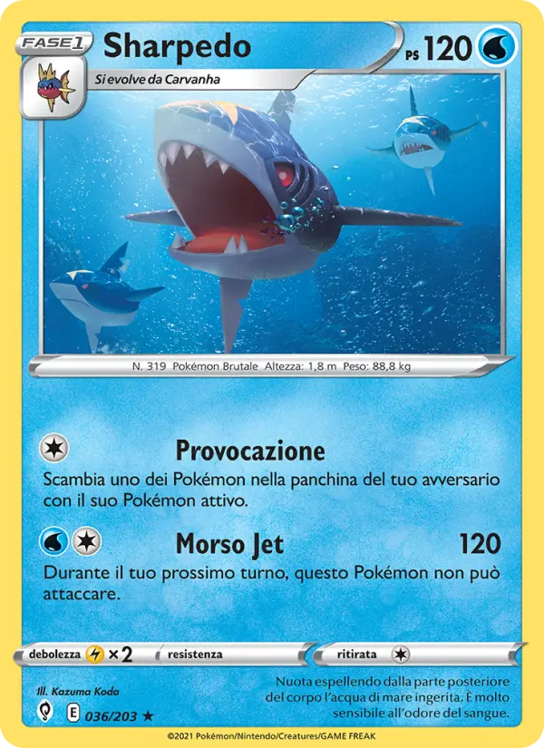 Sharpedo #036