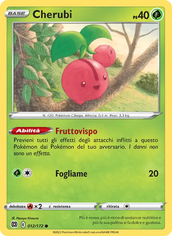 Oranguru #12