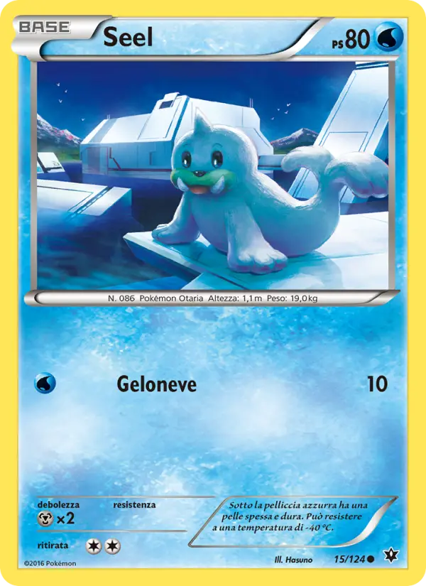 Seel #15