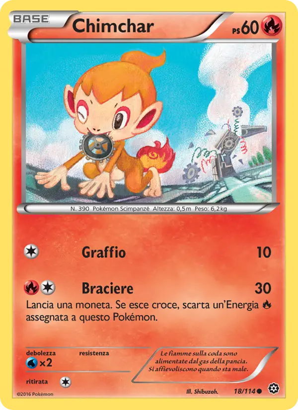 Chimchar #18