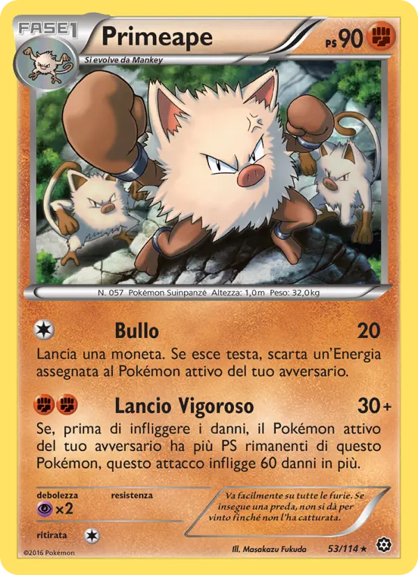 Primeape #53