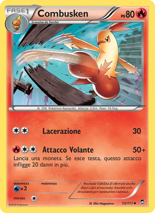 Combusken #13