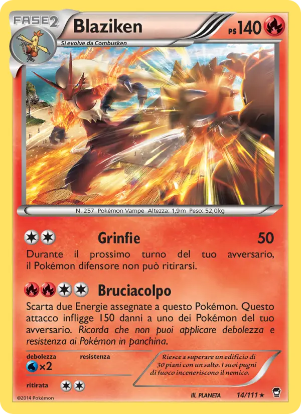 Blaziken #14