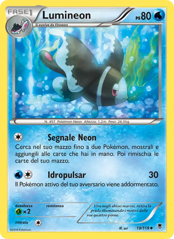 Lumineon #19