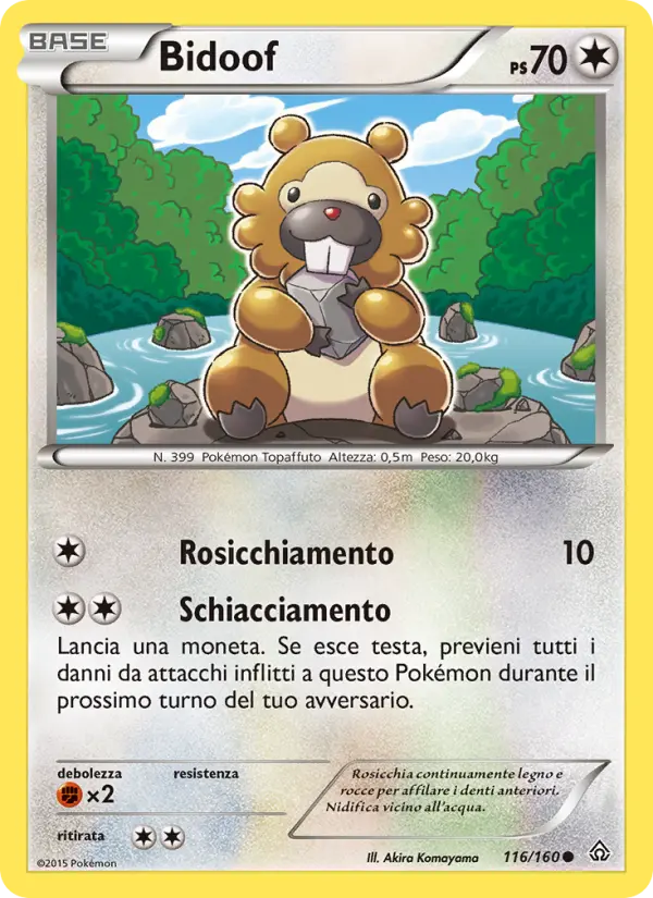 Bidoof #116