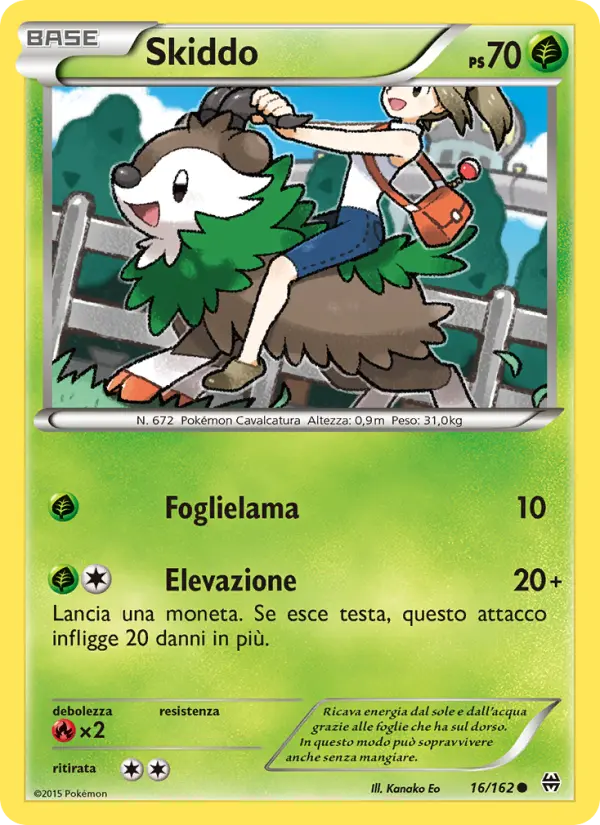 Skiddo #16