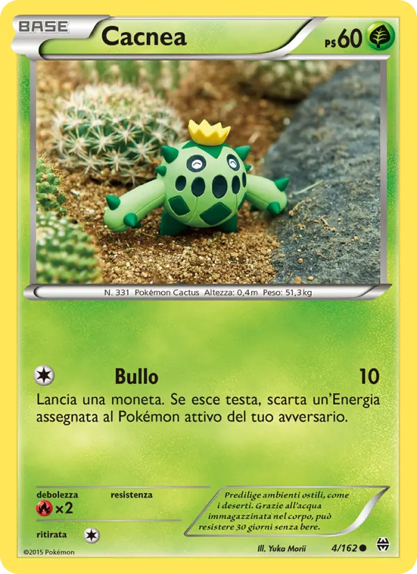 Cacnea #4