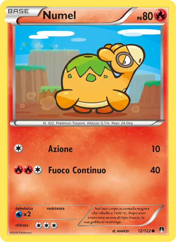 Numel #12
