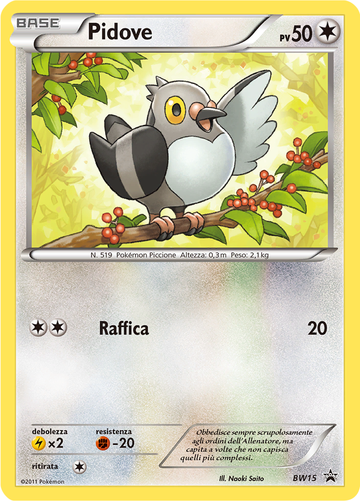 Pidove #15