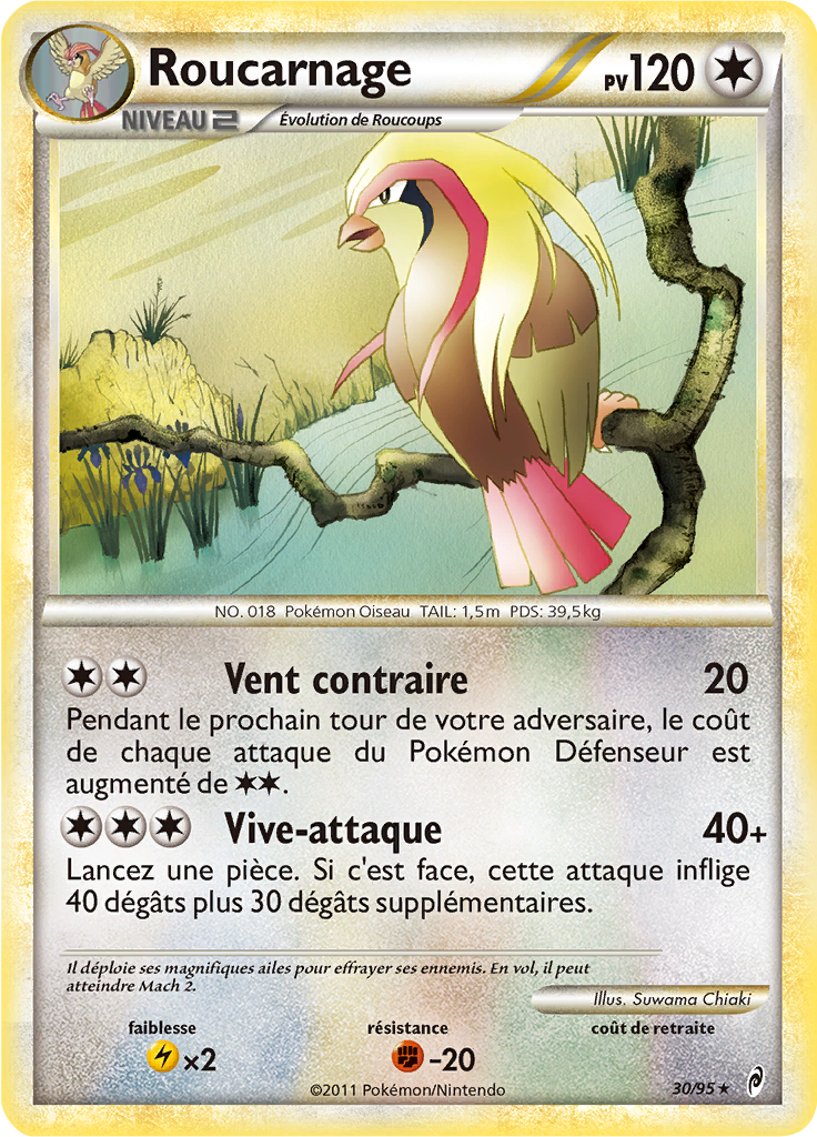 Pidgeot #30