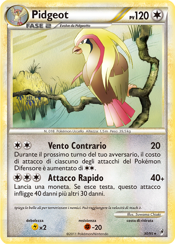 Pidgeot #30