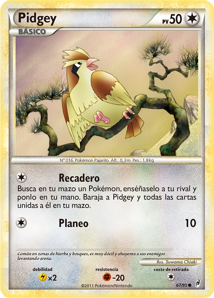 Pidgey #67