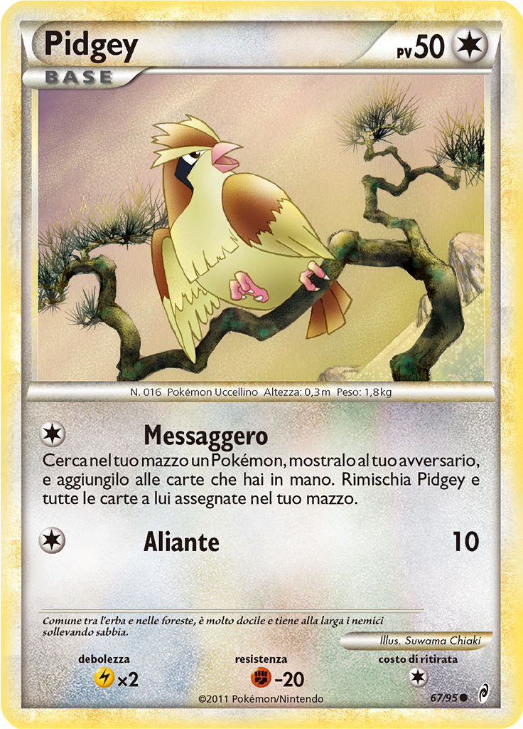Pidgey #67