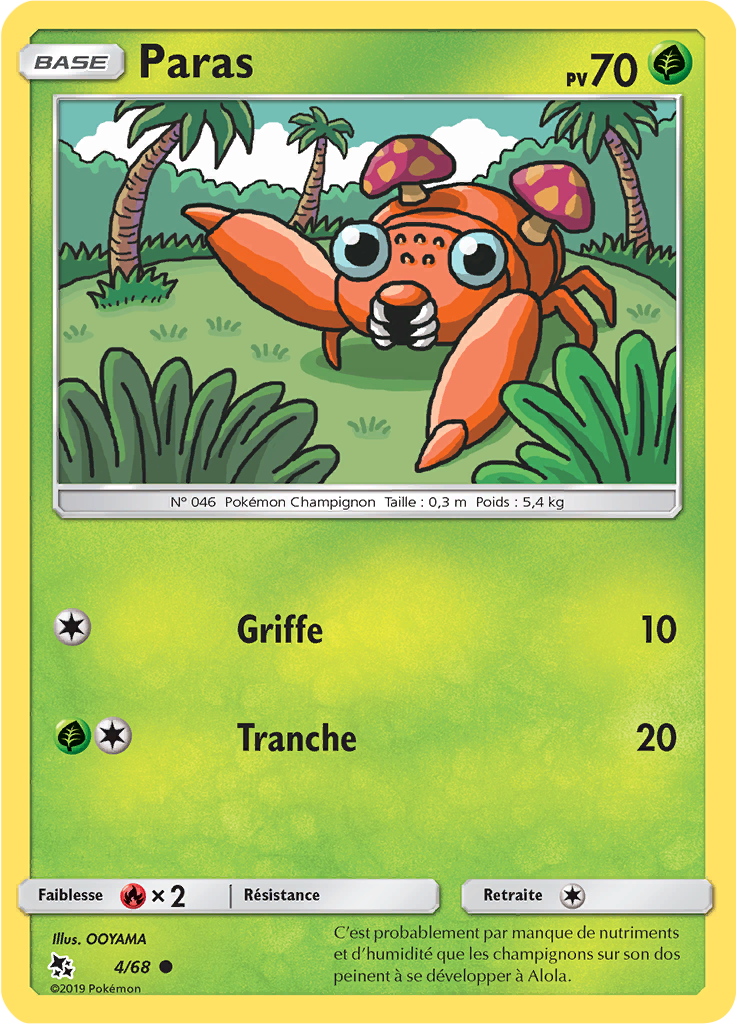 Paras #4