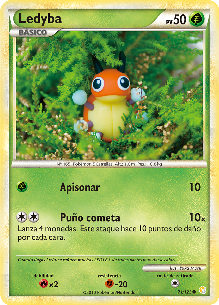 Ledyba #71